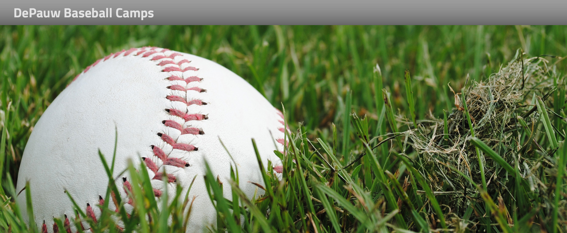Jordan Niespodziany Baseball Camps